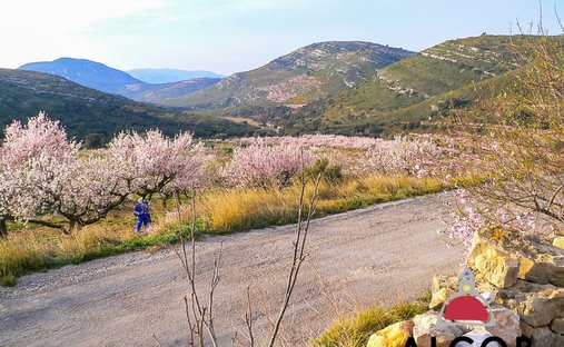 Farm Ranch in Tirig, Valencian Community, Spain 1