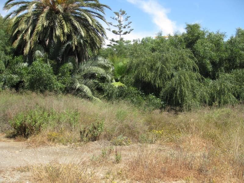 Land in Mojacar, Andalusia, Spain 4 - 12834705