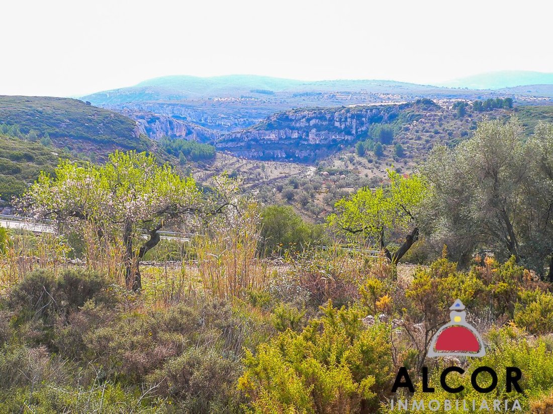 Farm Ranch in Tirig, Valencian Community, Spain 3 - 12836027