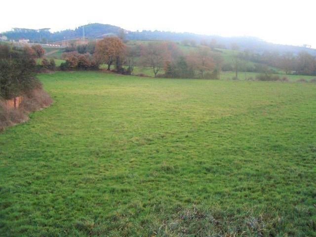 Land in Grau / Grado, Asturias, Spain 1 - 12834691