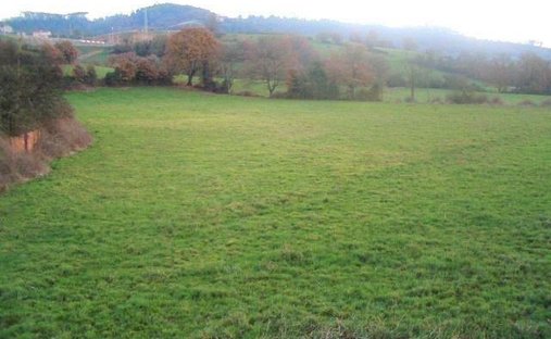 Land in Grado, Asturien, Spanien 1