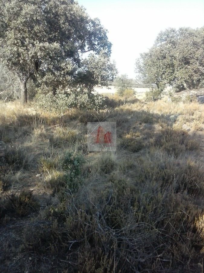 Finca Rústica Venta Badajoz In Bodonal De La Sierra, Extremadura, Spain 