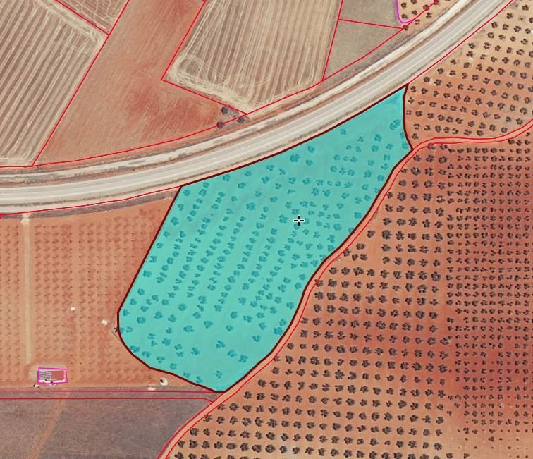 Farm Ranch in Torrenueva, Castile-La Mancha, Spain 1 - 12836310