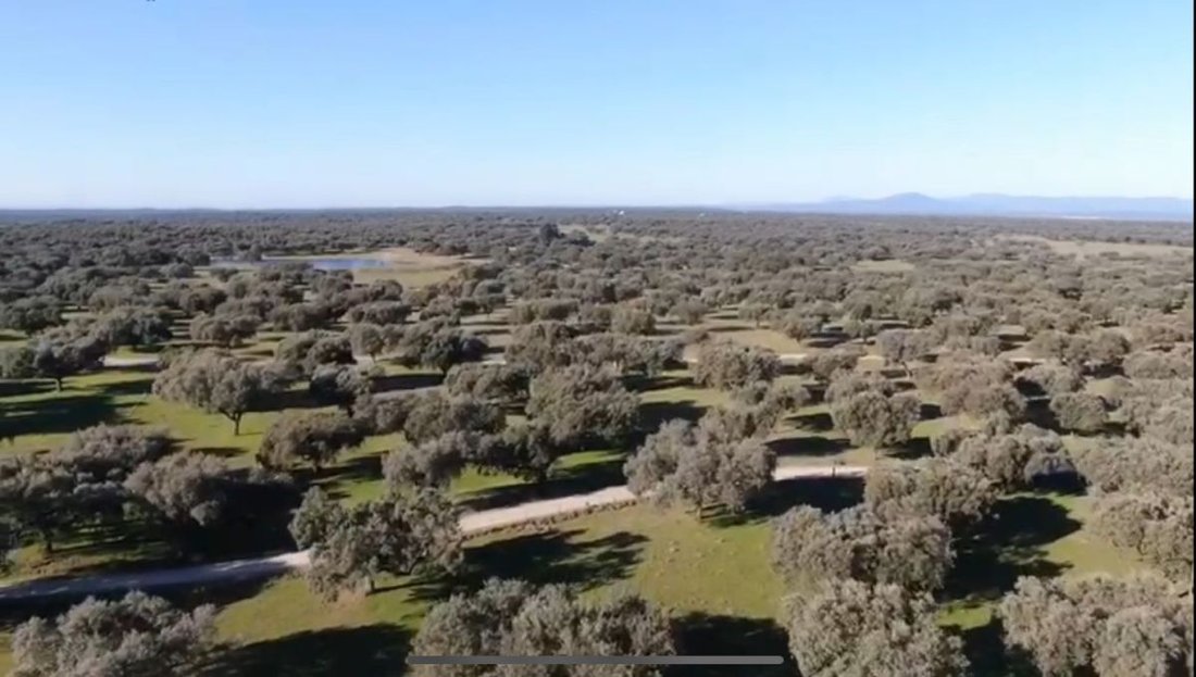 Farm Ranch in Cáceres, Extremadura, Spain 5 - 12835136