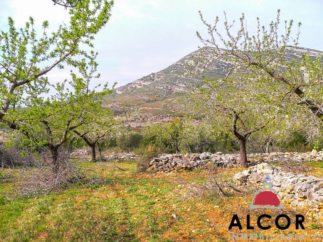 Farm Ranch in Tirig, Valencian Community, Spain 5 - 12836027