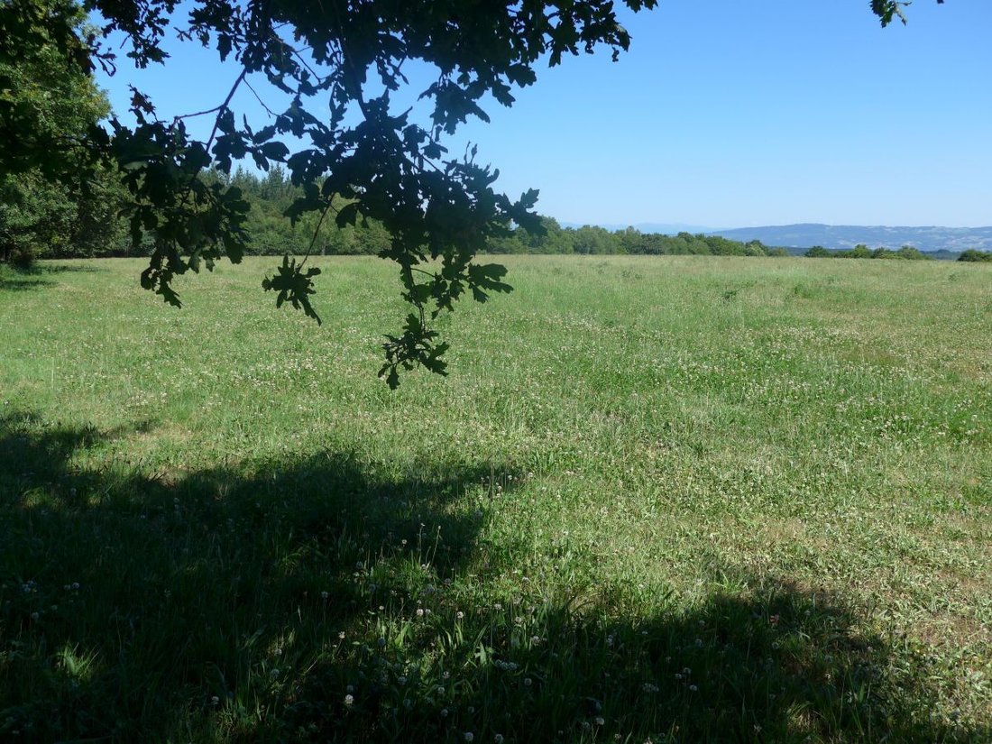 Terreno a Lugo, Galizia, Spagna 3 - 12836443