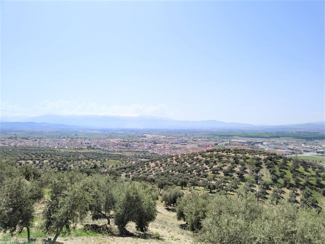Farm Ranch in Atarfe, Andalusia, Spain 1 - 12836217
