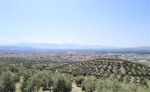 Farm Ranch in Atarfe, Andalusia, Spain 1