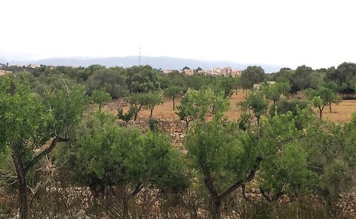Rancho en Marratxí, Islas Baleares, España 1