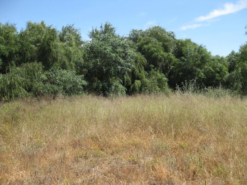 Land in Mojacar, Andalusia, Spain 3 - 12834705