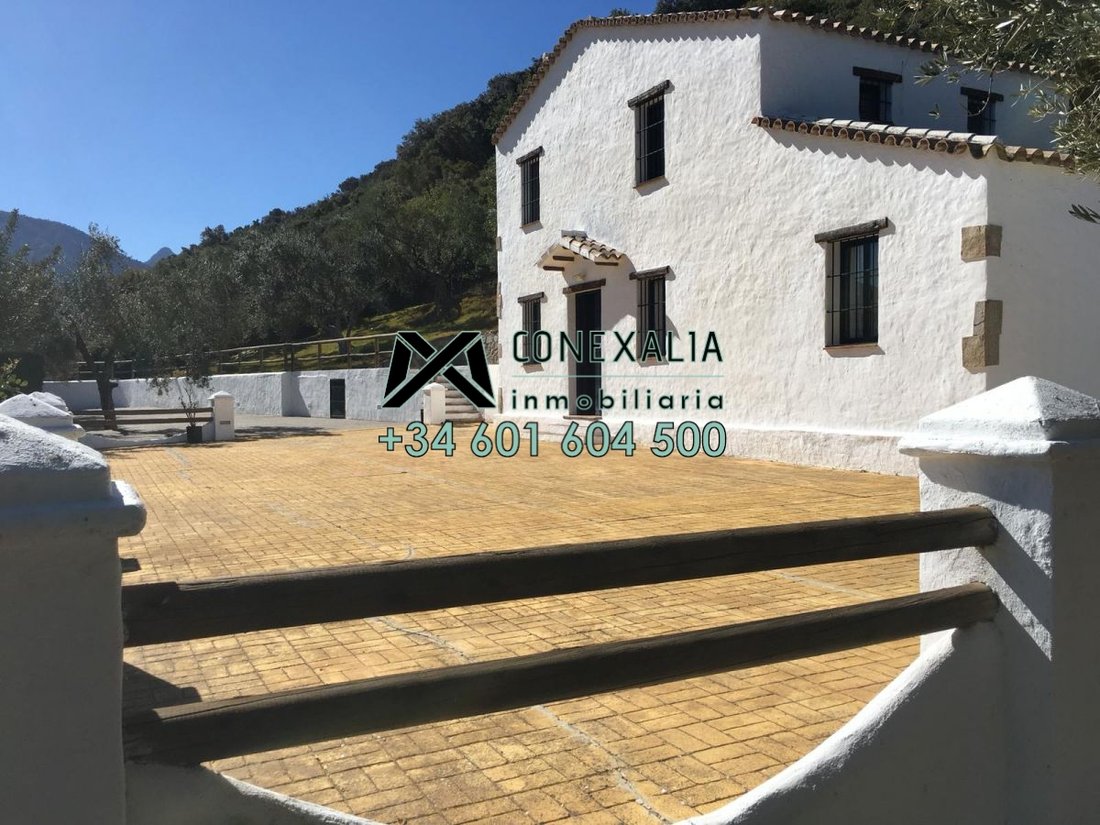 Chalet in Zahara, Andalusia, Spain 3 - 12835412