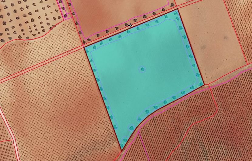 Farm Ranch in Torrenueva, Castile-La Mancha, Spain 3 - 12836310