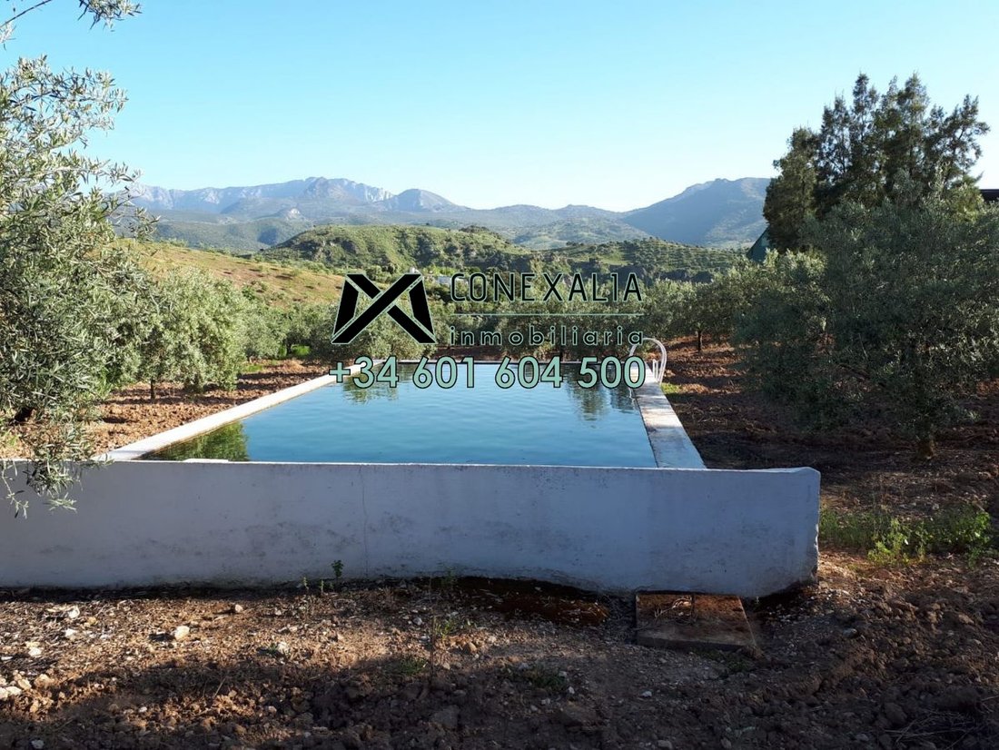 Chalet in Algodonales, Andalusia, Spain 1 - 12835459