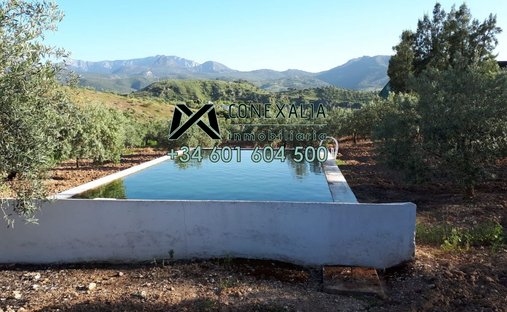 Chalet en Algodonales, Andalucía, España 1