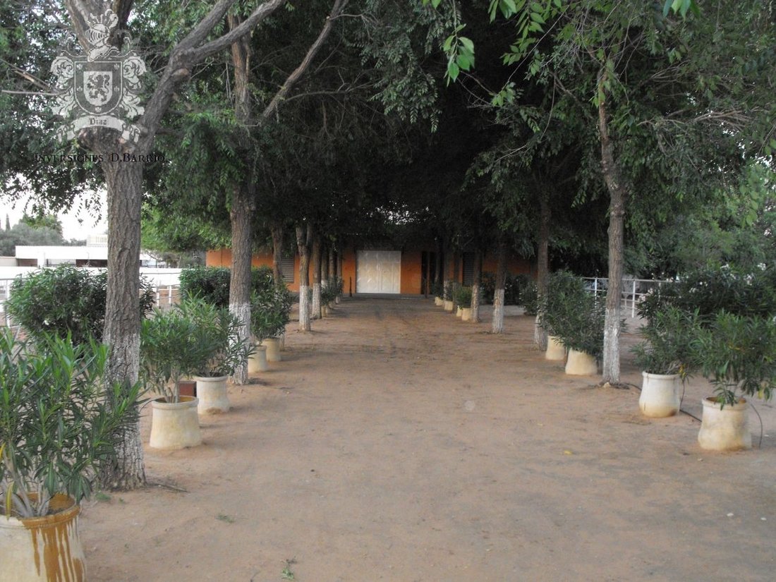 Finca Rústica Venta Sevilla In Utrera, Andalusia, Spain For Sale (12836713)