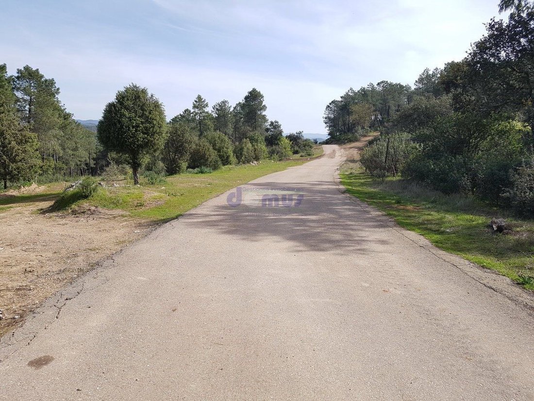 Farm Ranch in Daimiel, Castile-La Mancha, Spain 1 - 12836594