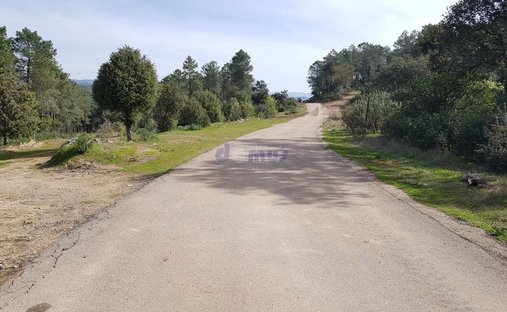 Rancho en Daimiel, Castilla-La Mancha, España 1