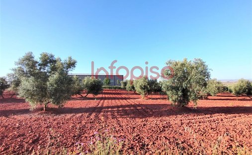 Azienda agricola a Torrenueva, Castiglia-La Mancia, Spagna 1