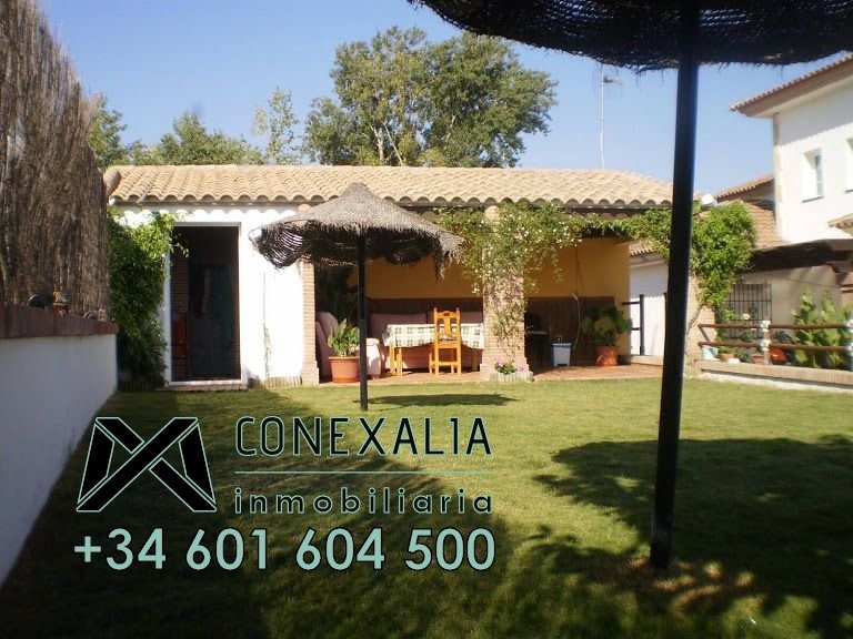 Chalet in Torre Alhaquime, Andalusia, Spain 4 - 12835521