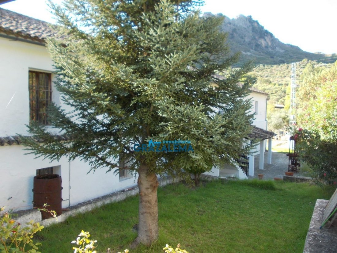 Farm Ranch in Grazalema, Andalusia, Spain 5 - 12835681