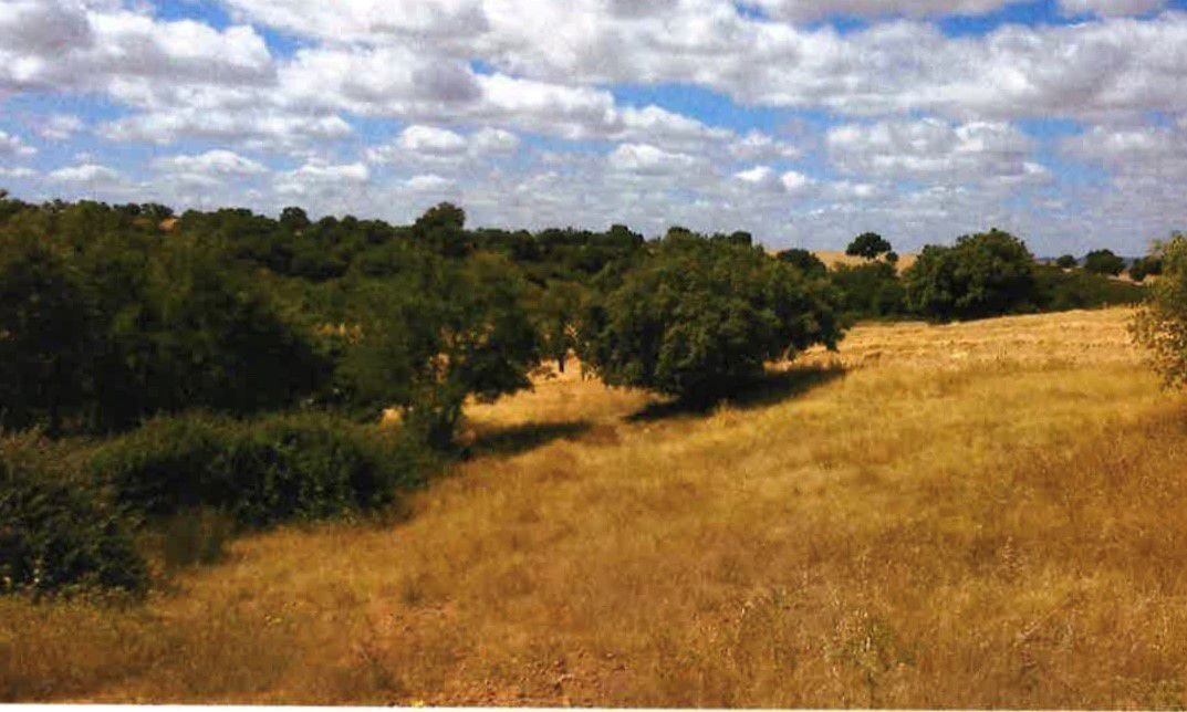 Farm Ranch in Ciudad Real, Castile-La Mancha, Spain 1 - 12835010