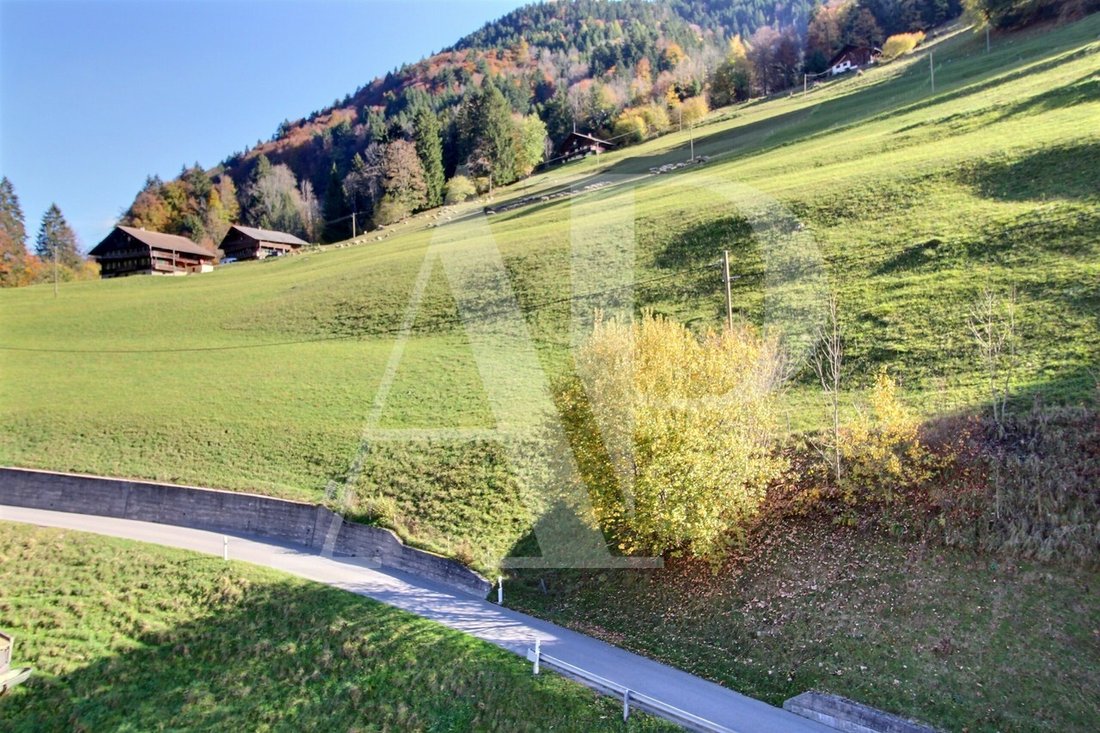 Magnificent Apartment In The Heart Of The In Val D'illiez, Valais