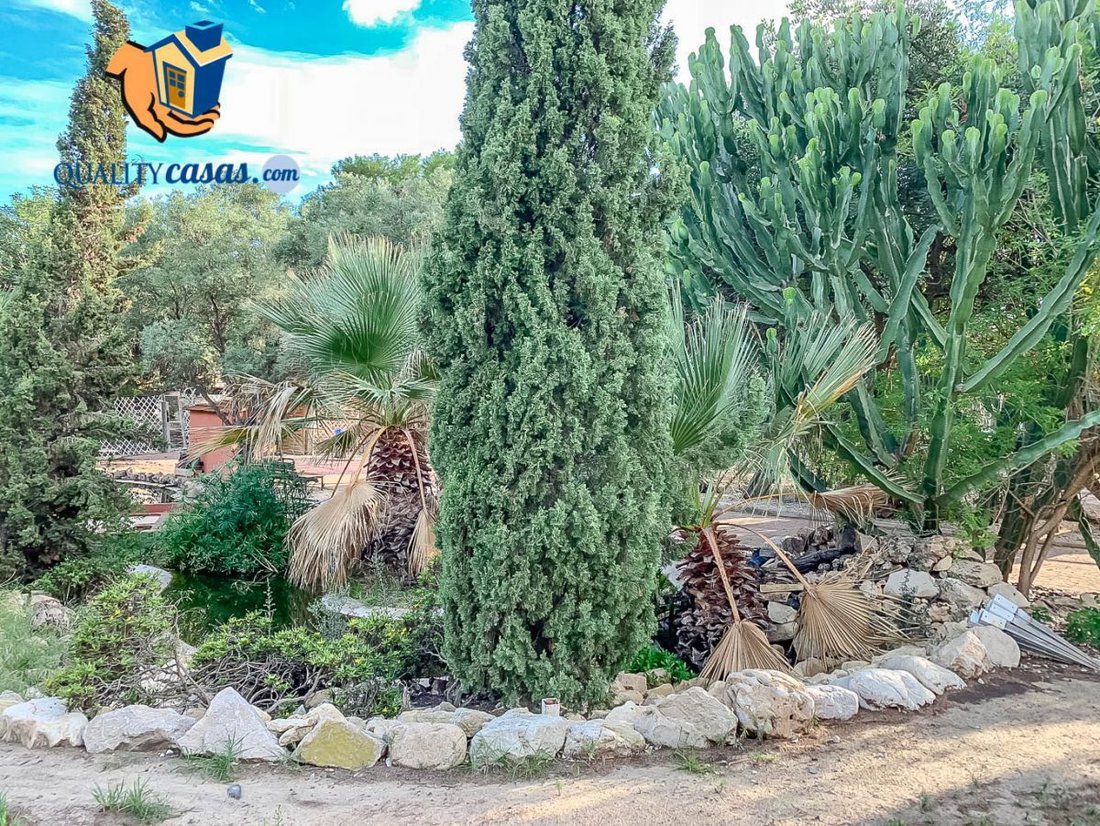 Land in Alicante, Valencian Community, Spain 5 - 12836231