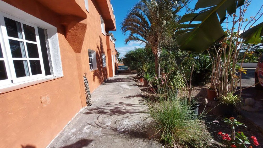 Chalet in Guimar, Canary Islands, Spain 4 - 12834874