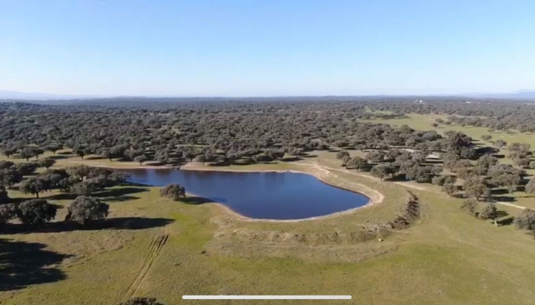 Farm Ranch in Cáceres, Extremadura, Spain 1 - 12835136