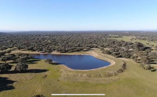 Azienda agricola a Cáceres, Estremadura, Spagna 1