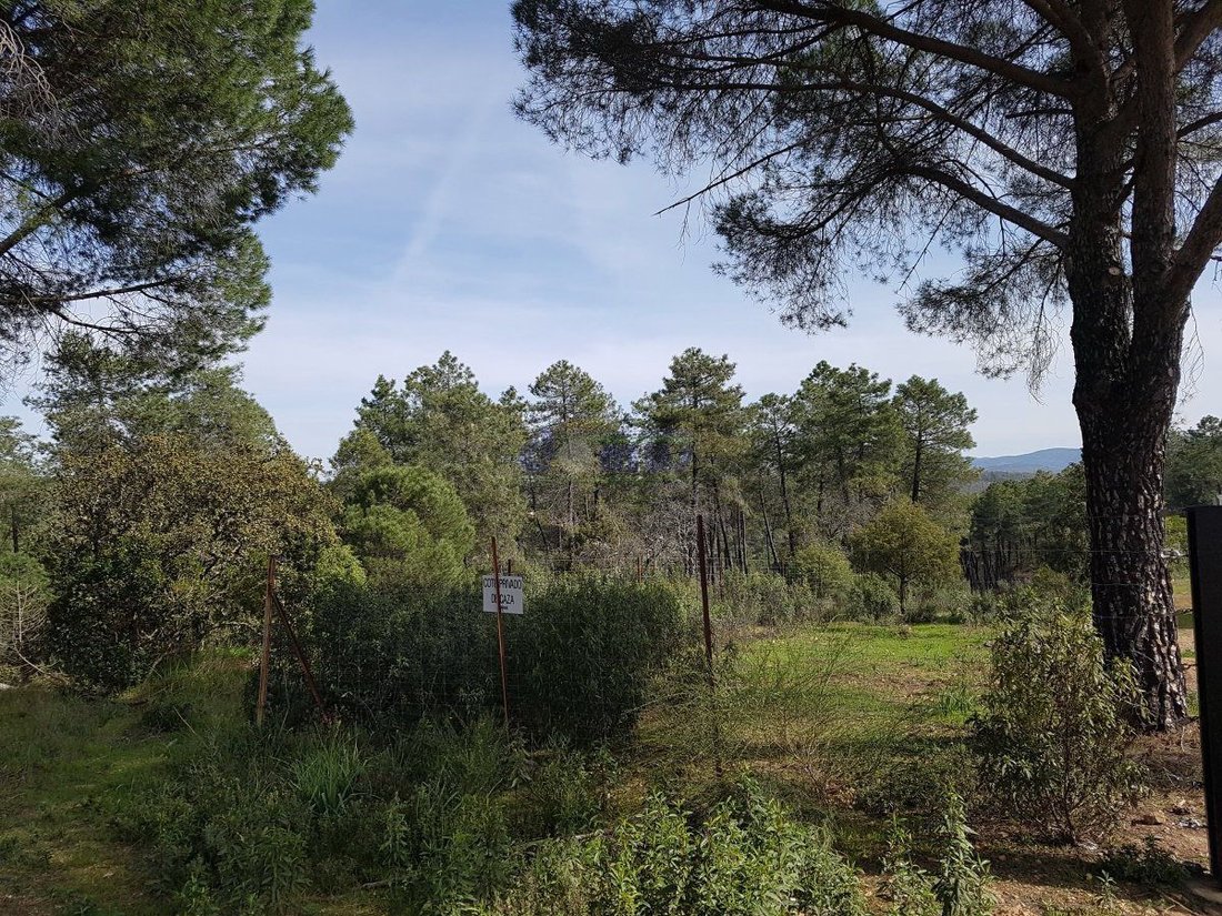 Farm Ranch in Daimiel, Castile-La Mancha, Spain 2 - 12836594