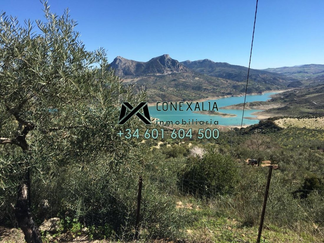 Chalet in Zahara, Andalusia, Spain 1 - 12835412