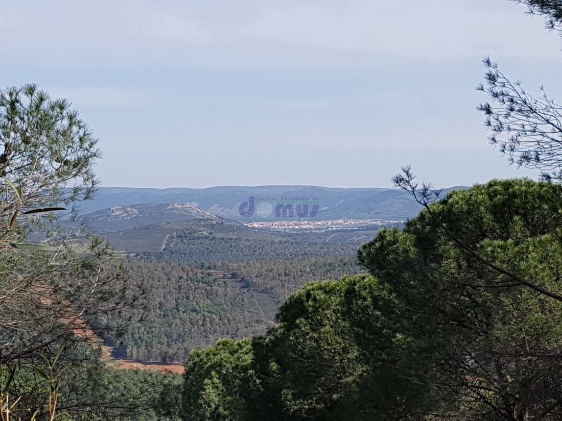 Farm Ranch in Daimiel, Castile-La Mancha, Spain 4 - 12836594