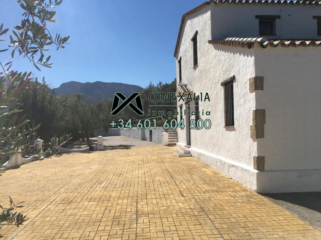 Chalet in Zahara, Andalusia, Spain 2 - 12835412