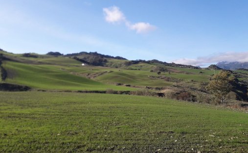Azienda agricola a Montecorto, Andalusia, Spagna 1