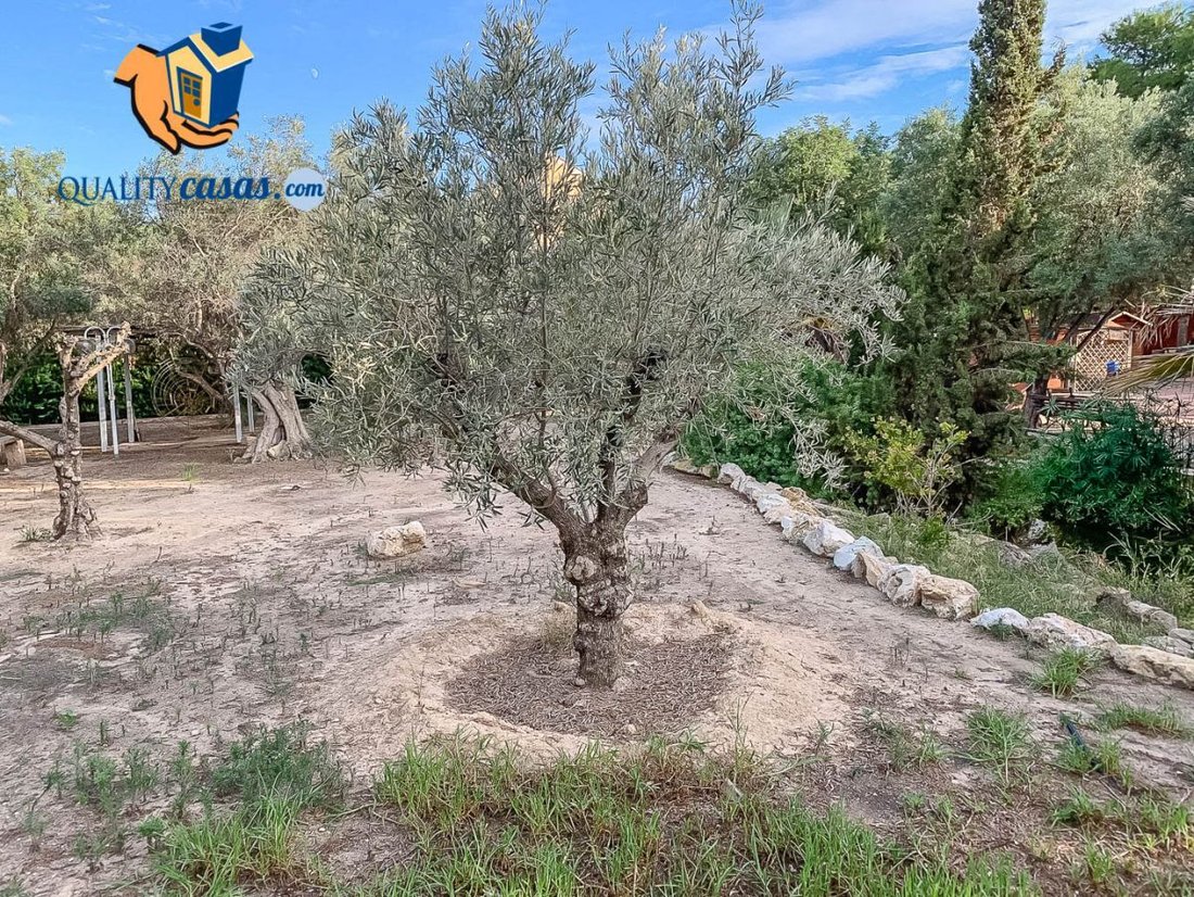 Land in Alicante, Valencian Community, Spain 3 - 12836231