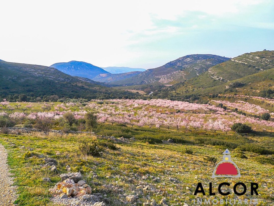 Farm Ranch in Tirig, Valencian Community, Spain 2 - 12836027