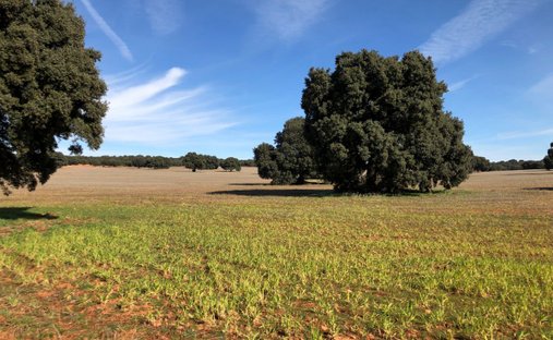 Corps de ferme à Albacete, Castille-La Manche, Espagne 1