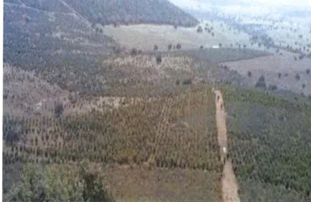 Farm Ranch in Ciudad Real, Castile-La Mancha, Spain 3 - 12835010