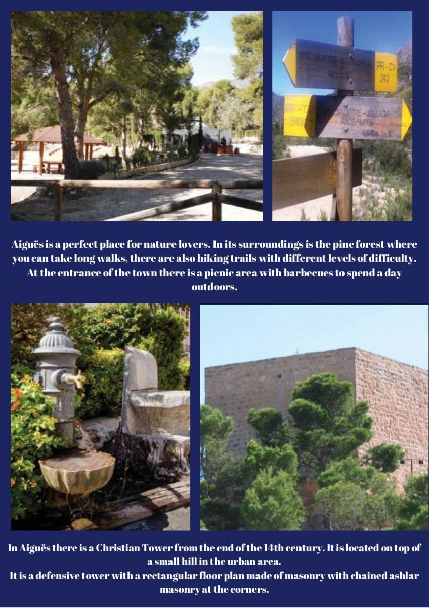 The Thermal Crown of Alicante: 31 Villas & a Legacy of Healing Waters