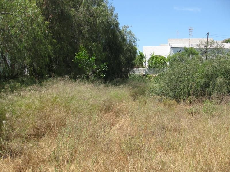 Land in Mojacar, Andalusia, Spain 1 - 12834705