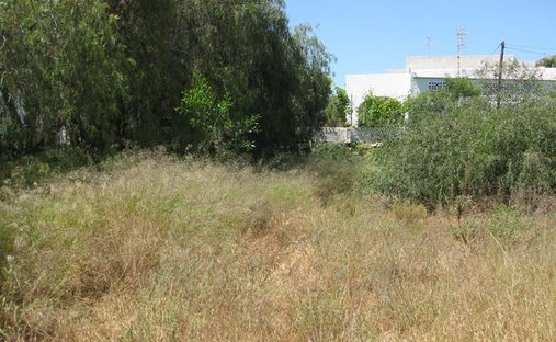 Land in Mojácar, Andalusien, Spanien 1