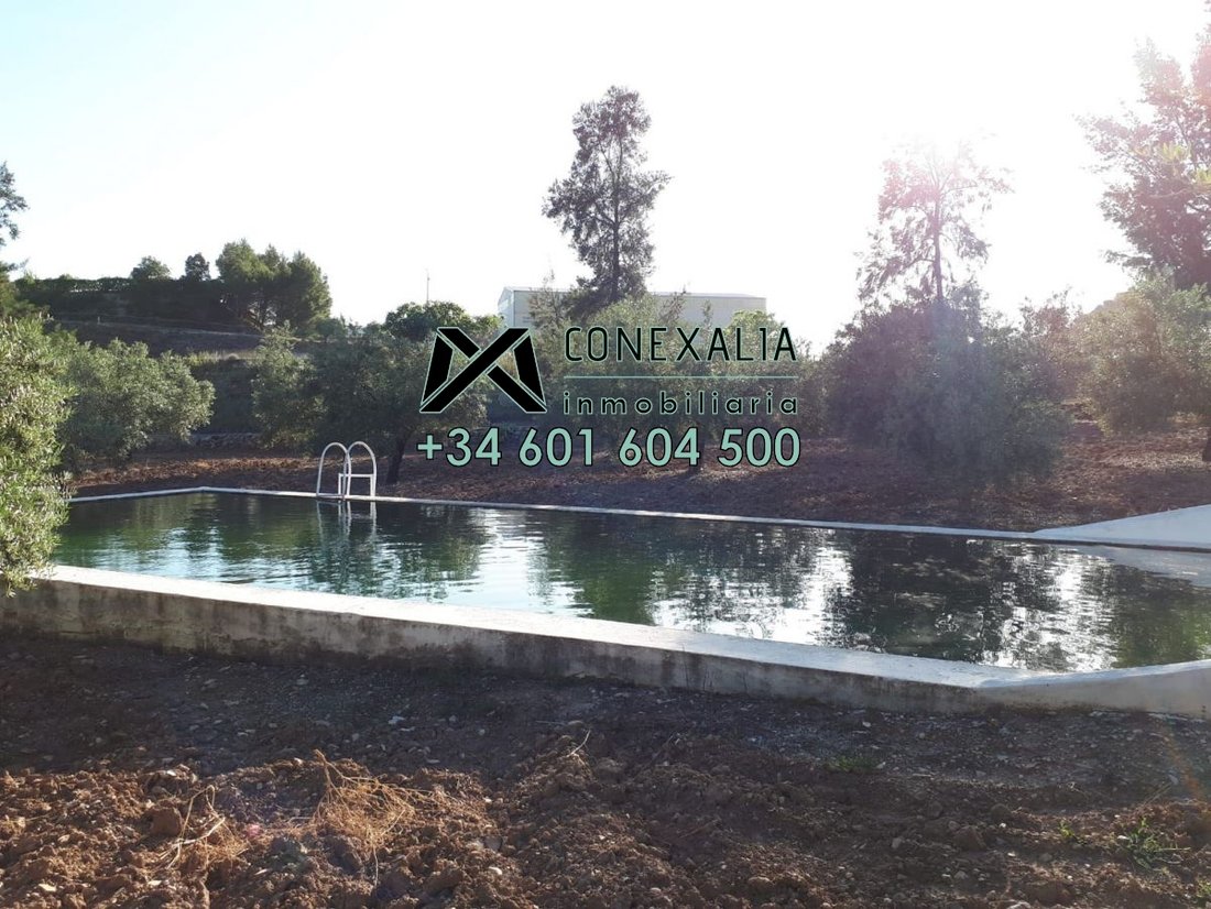 Chalet in Algodonales, Andalusia, Spain 2 - 12835459