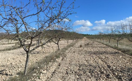 Farm Ranch in Albacete, Castile-La Mancha, Spain 1