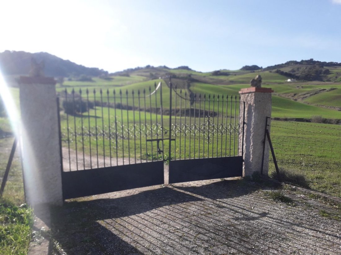 Azienda agricola a Montecorto, Andalusia, Spagna 3 - 12834937