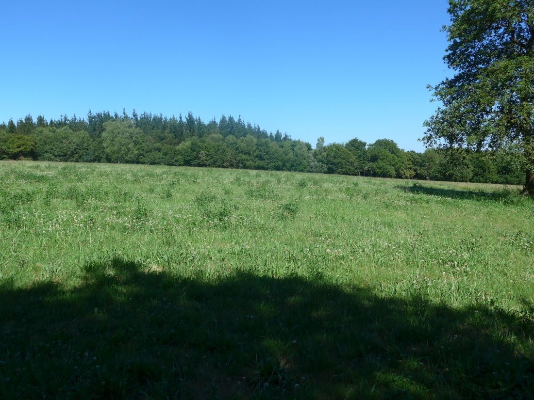 Terreno a Lugo, Galizia, Spagna 5 - 12836443