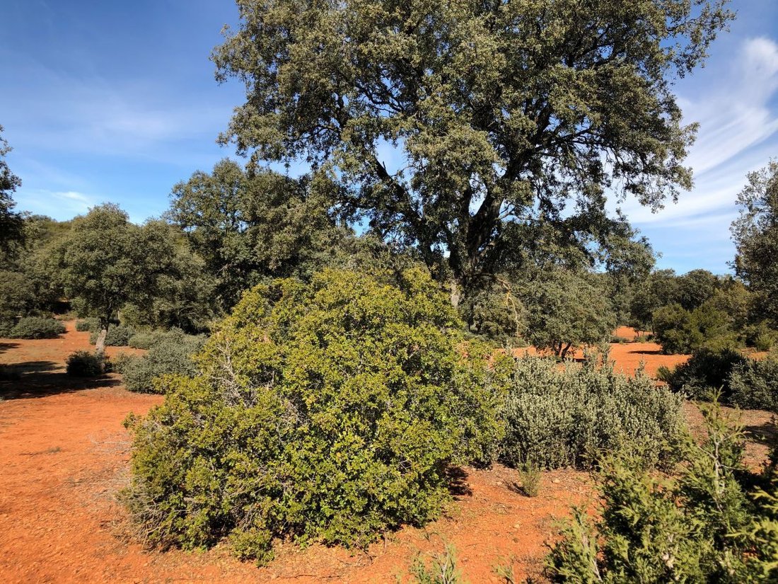 Farm Ranch in Albacete, Castile-La Mancha, Spain 2 - 12834987