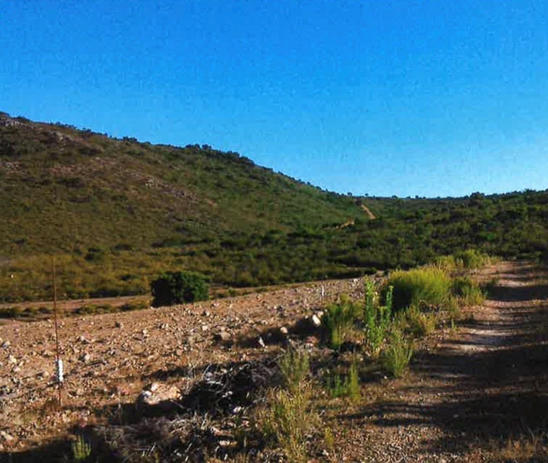 Farm Ranch in Ciudad Real, Castile-La Mancha, Spain 2 - 12835010