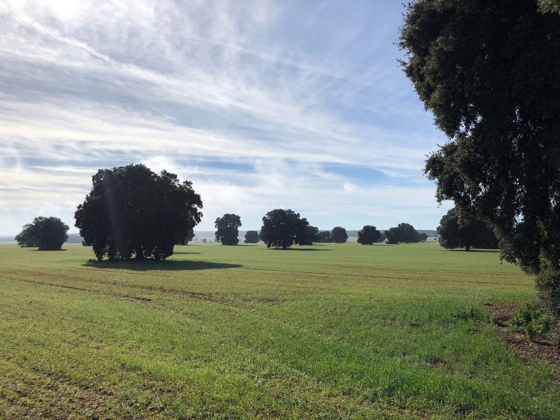 Farm Ranch in Albacete, Castile-La Mancha, Spain 5 - 12834987