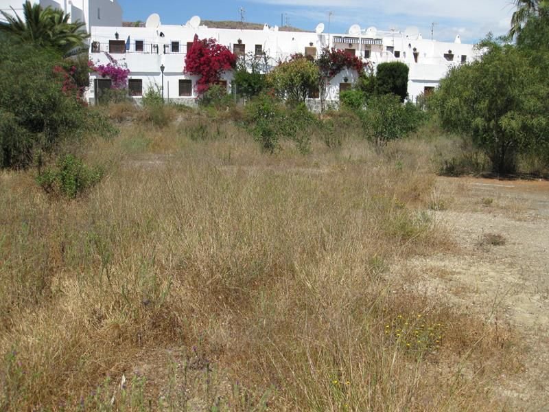 Land in Mojacar, Andalusia, Spain 5 - 12834705